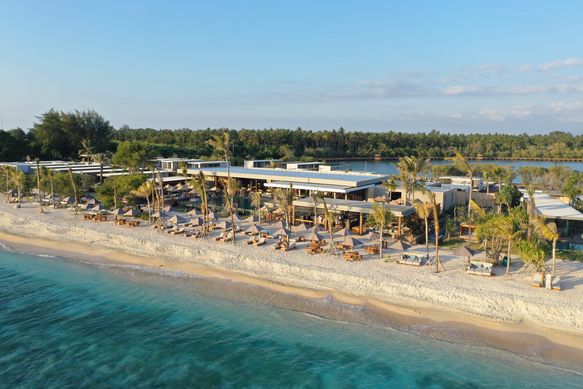 A turtle off Gili Meno
