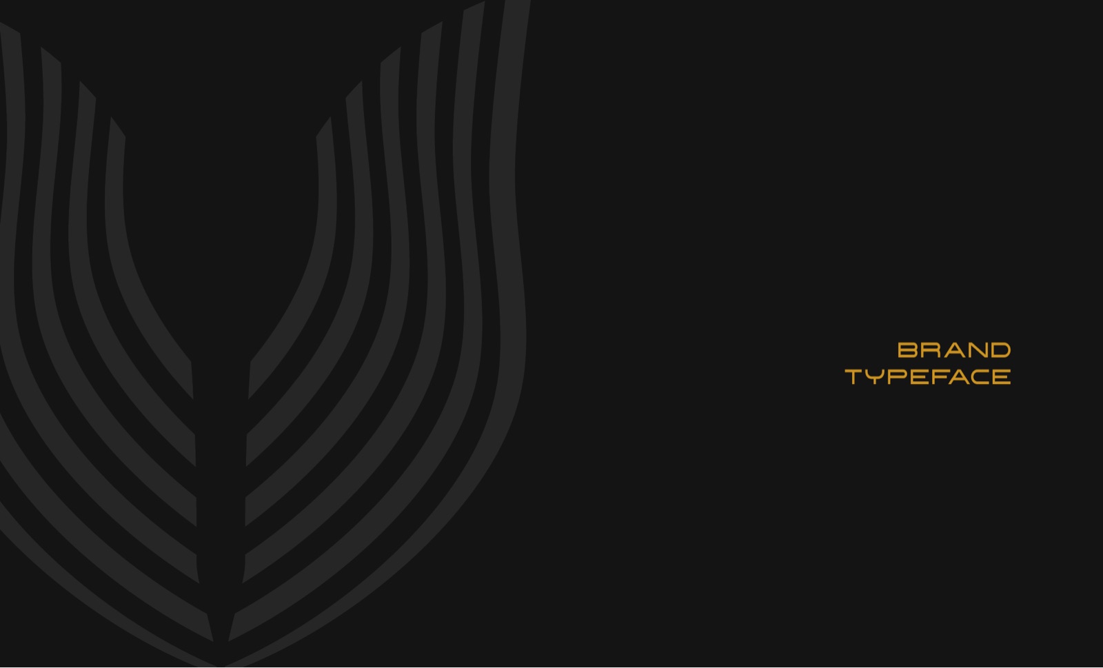 Magnum Ventures typeface, Montserrat in gold on black